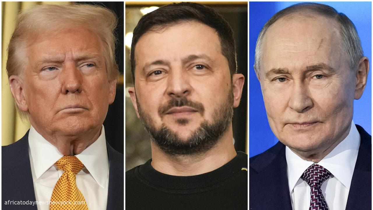 Ukraine Peace: Trump Sets Talks With Putin, Zelensky