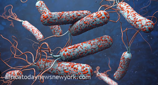 236 Cholera Cases, 12 Deaths Recorded In Ogun State Outbreak